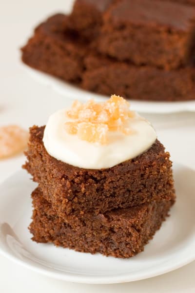  gluten free gingerbread recipe food fanatic