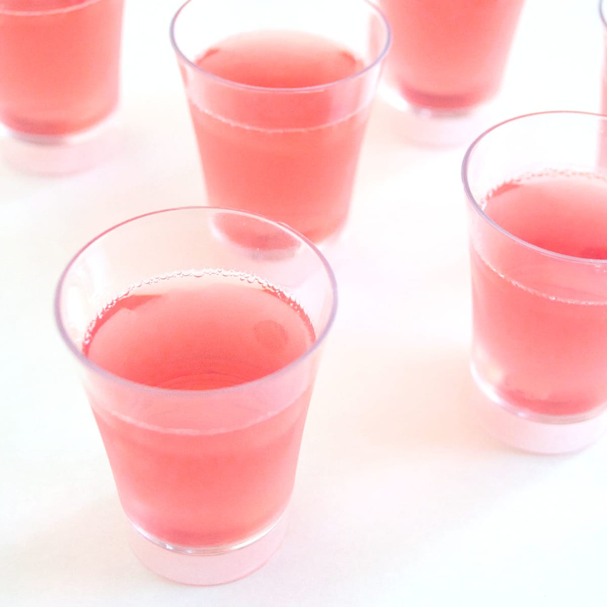 Champagne Jello Shots Recipe Food Fanatic