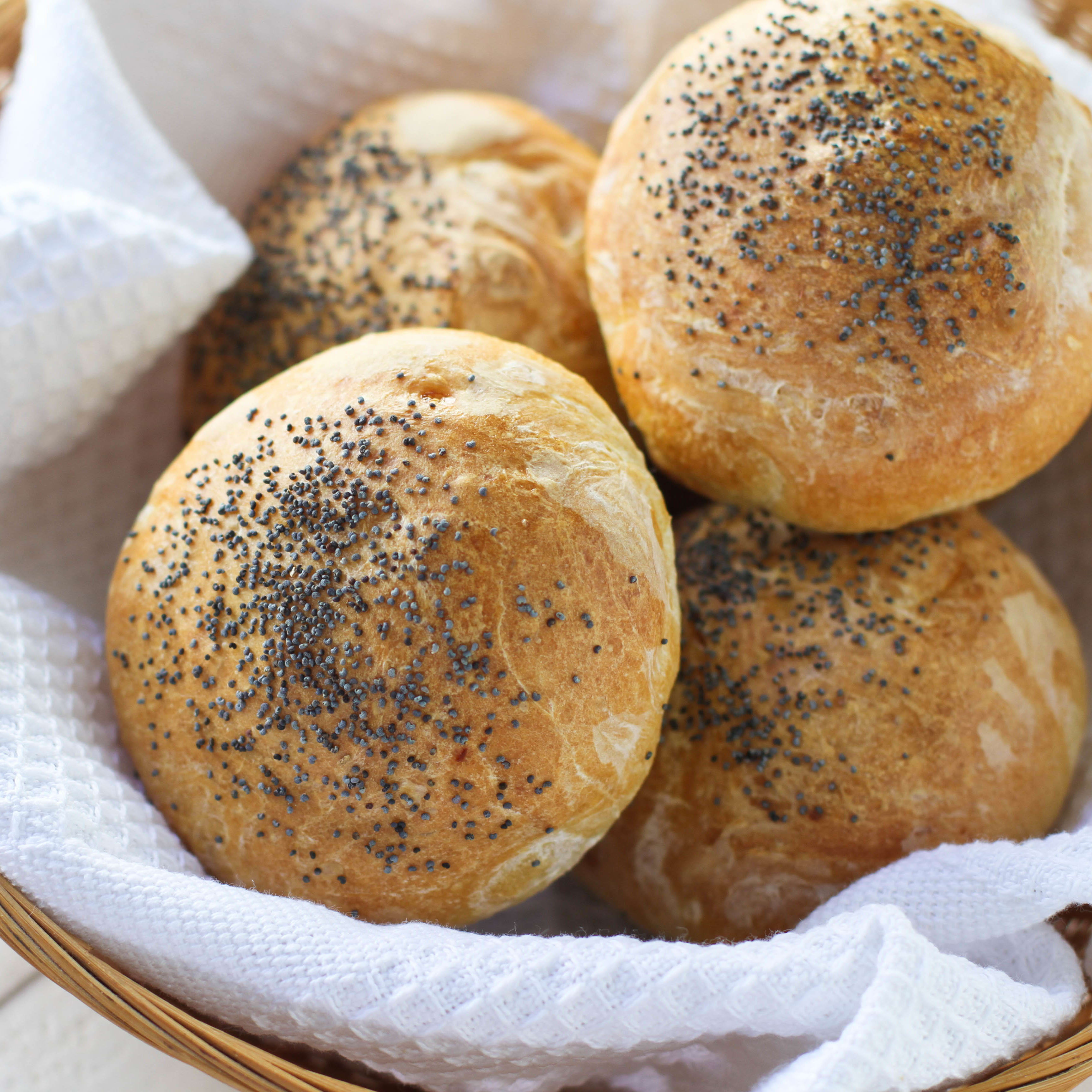 Hard shop roll recipe