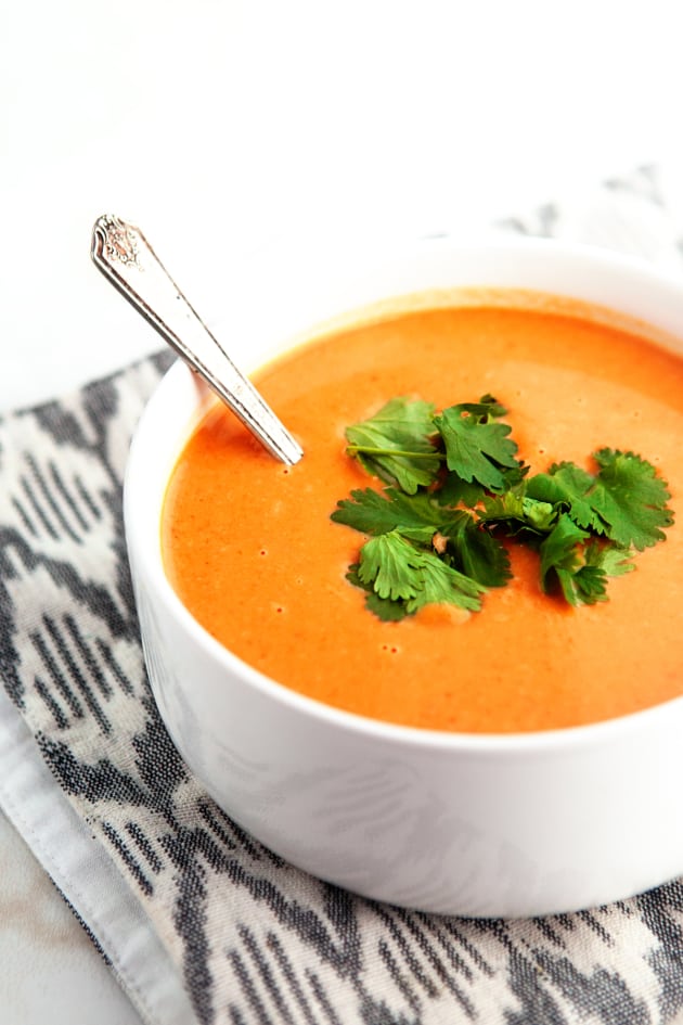 3 Ingredient Pumpkin Soup - Food Fanatic